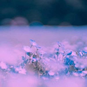 دانلود آهنگ انهایپن آی نید یو